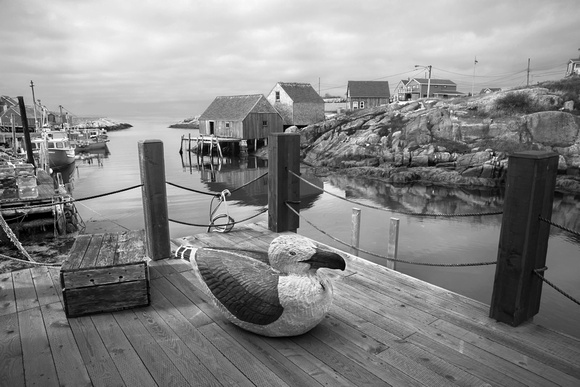 Peggy's Cove 19