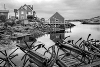 Peggy's Cove 5