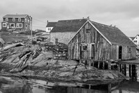 Peggy's Cove 12